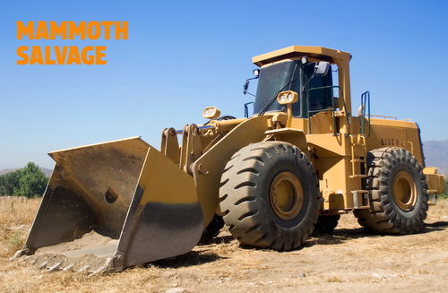 Photo of a yellow bulldozer with a graphical overlay of text saying MAMMOTH SALVAGE