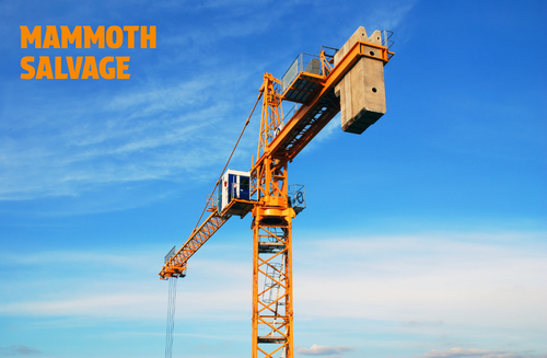 Photo of a yellow and orange crane with a graphical overlay of text saying MAMMOTH SALVAGE