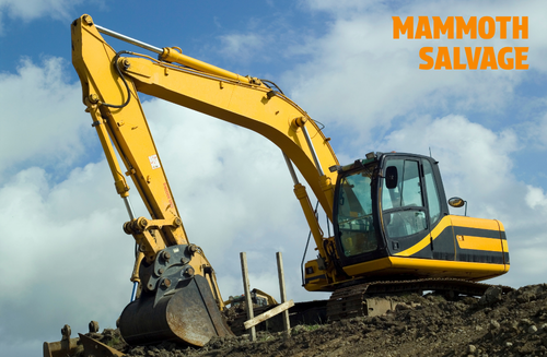 Photo of a yellow digger with a graphical overlay of text saying MAMMOTH SALVAGE