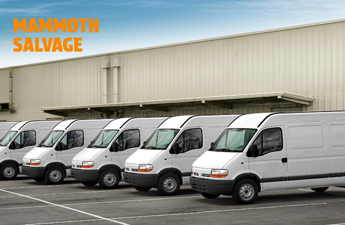 Photo of a row of parked white vans with a graphical overlay of text saying MAMMOTH SALVAGE